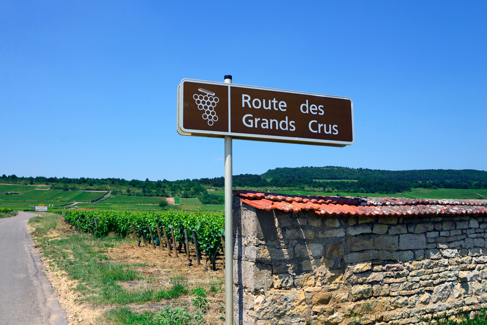Route-des-grands-crus